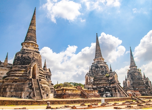 ワットプラシーサンペット